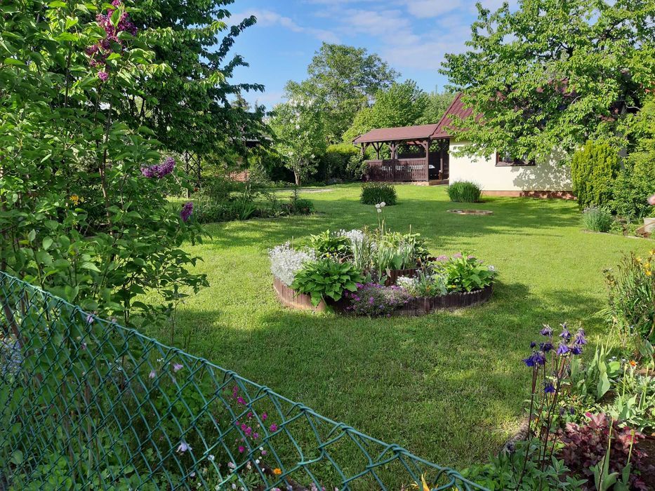 Działka rekreacyjna Dąbrowa Górnicza Mydlice, ul. Starościńska