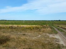 Działka inna Karwieńskie Błoto Pierwsze. Zdjęcie 3