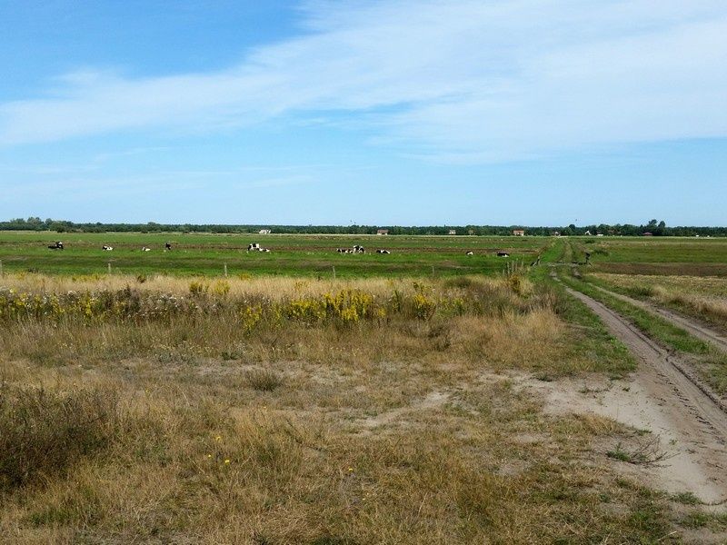 Działka inna Karwieńskie Błoto Pierwsze. Zdjęcie 4