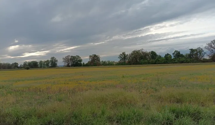 Działka budowlana Kwiatkowice