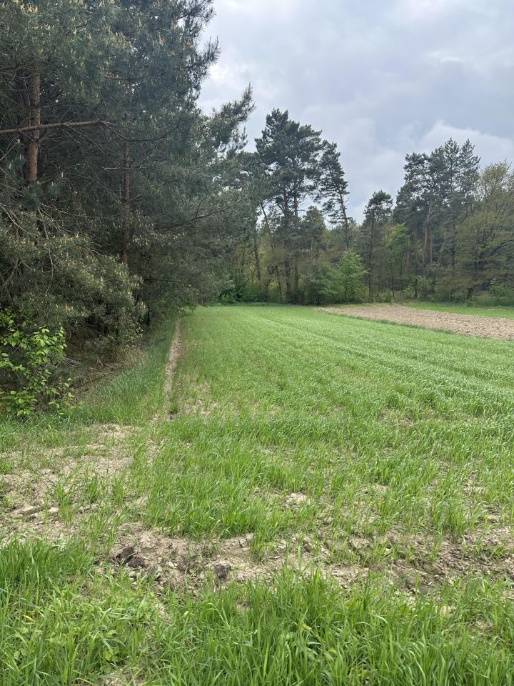 Działka rolna Zakrzówek Szlachecki. Zdjęcie 7