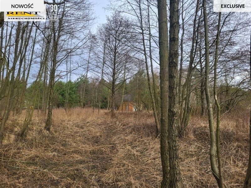 Działka rekreacyjna Chłopowo. Zdjęcie 10