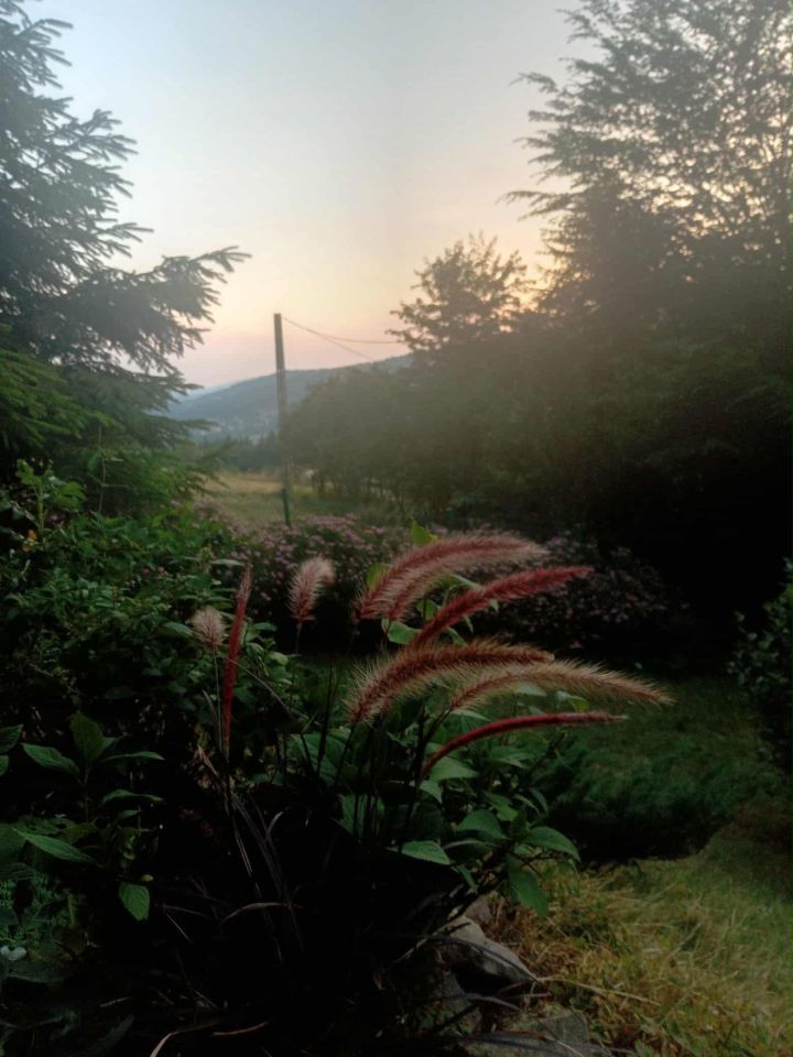 Działka budowlana Pewel Wielka. Zdjęcie 5