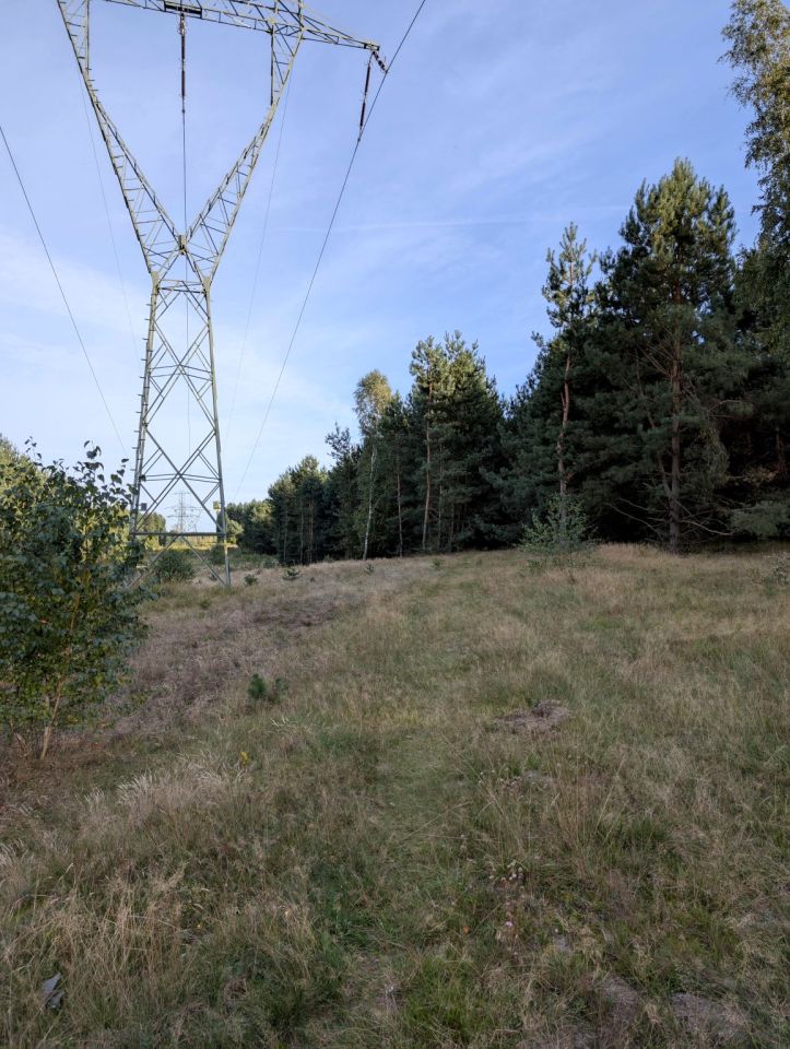 dom wolnostojący, 5 pokoi Srocko, ul. Częstochowska. Zdjęcie 13