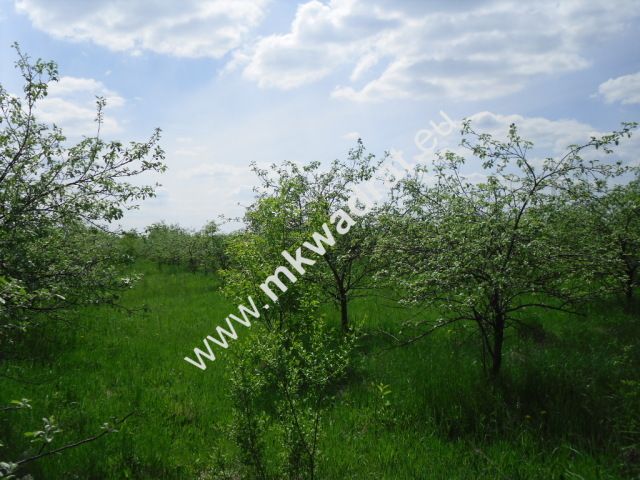 Działka budowlana Baszkówka. Zdjęcie 4