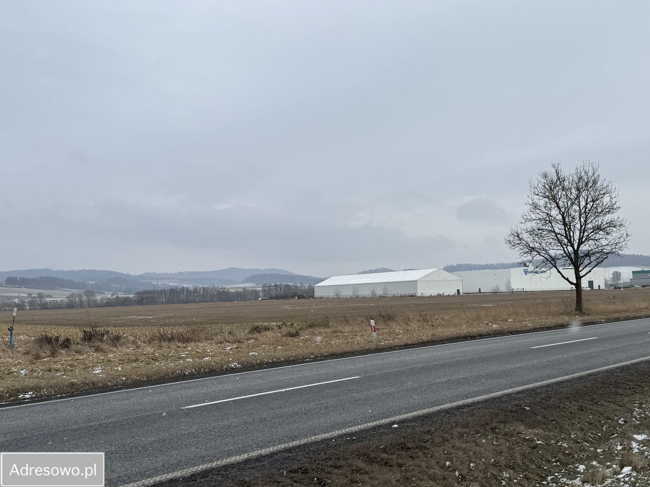 Działka inwestycyjna Jaszkowa Dolna. Zdjęcie 6