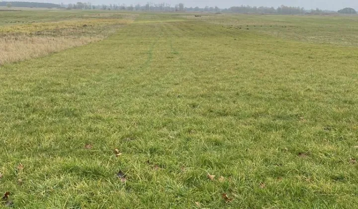 Działka rolna Rataje