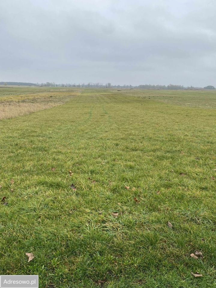 Działka rolna Rataje