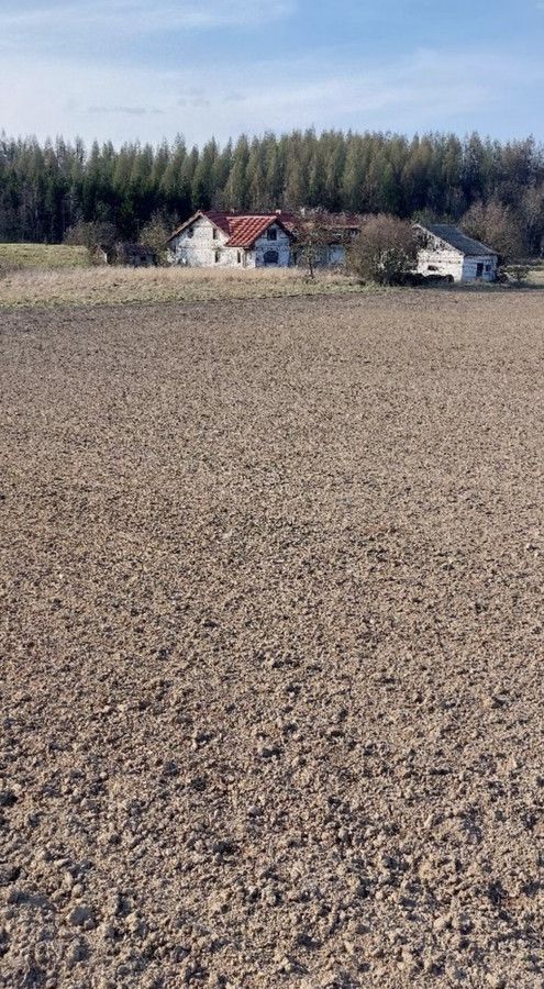 Działka siedliskowa Radostowo. Zdjęcie 4
