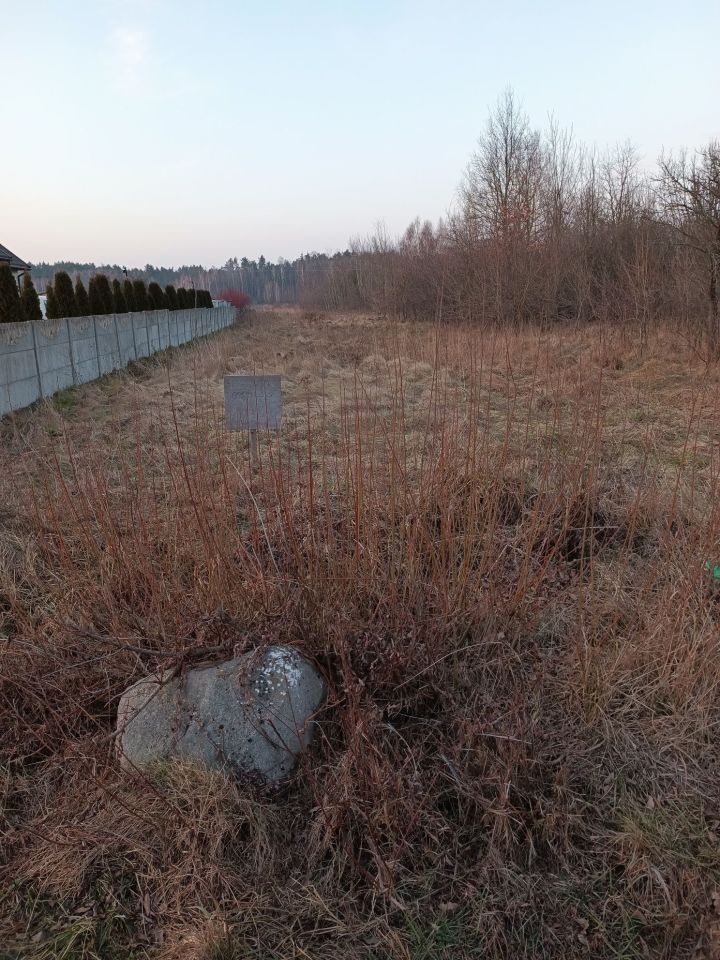 Działka rolna Marianów. Zdjęcie 6