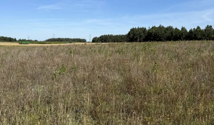 Działka inna Kowalewo