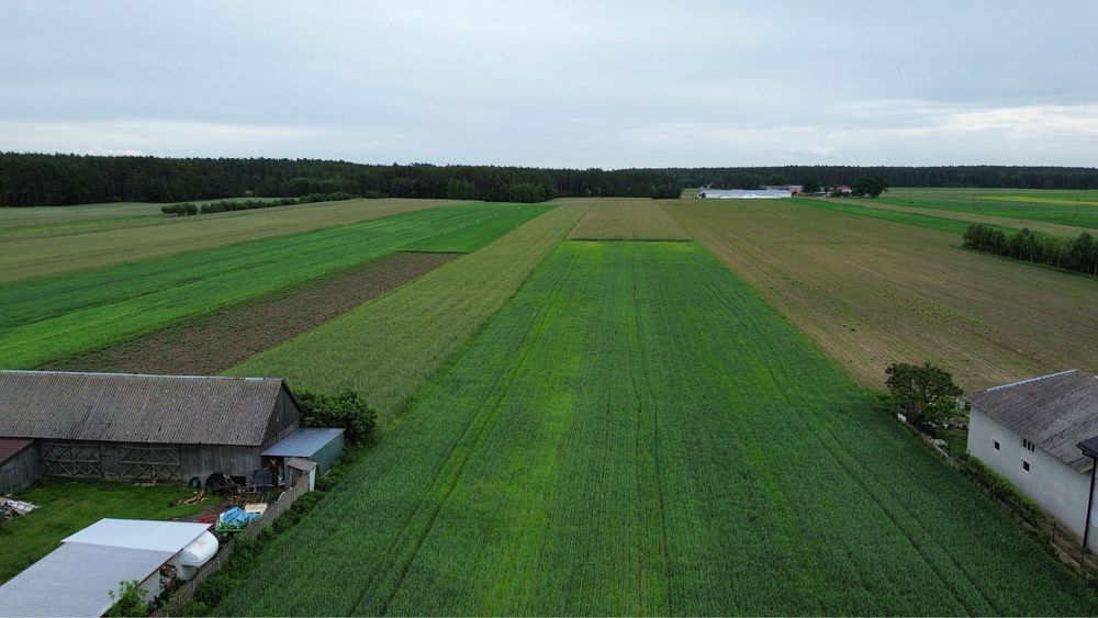 Działka rolno-budowlana Komorowo. Zdjęcie 3