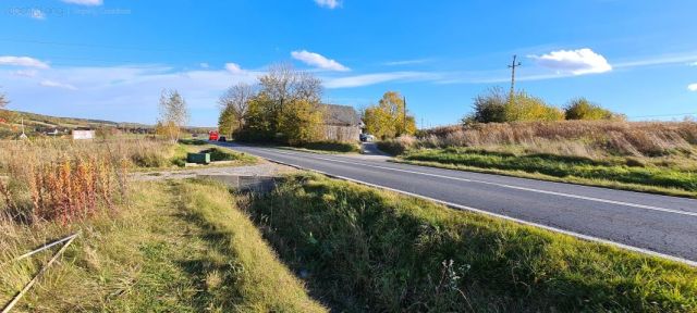 Działka rolno-budowlana Zamłynie. Zdjęcie 5