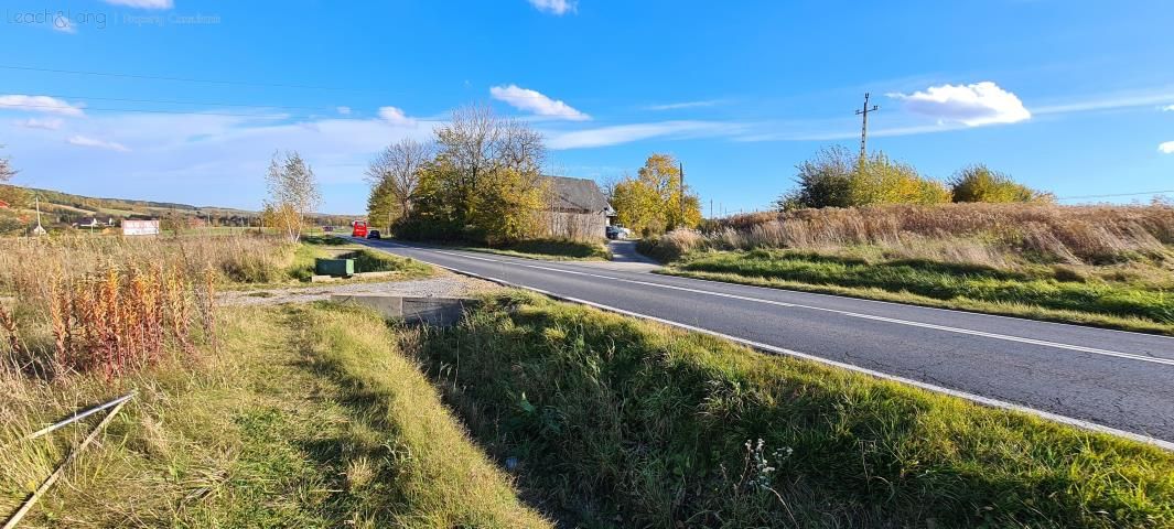 Działka rolno-budowlana Zamłynie. Zdjęcie 5