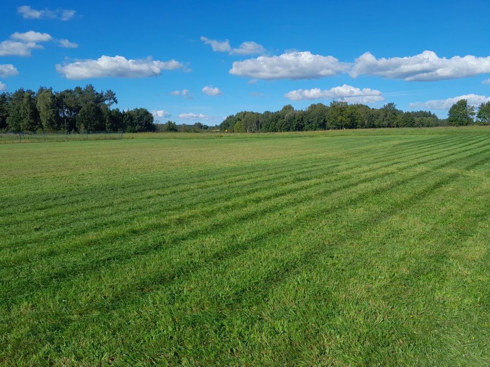 Działka budowlana Pomianowo. Zdjęcie 3