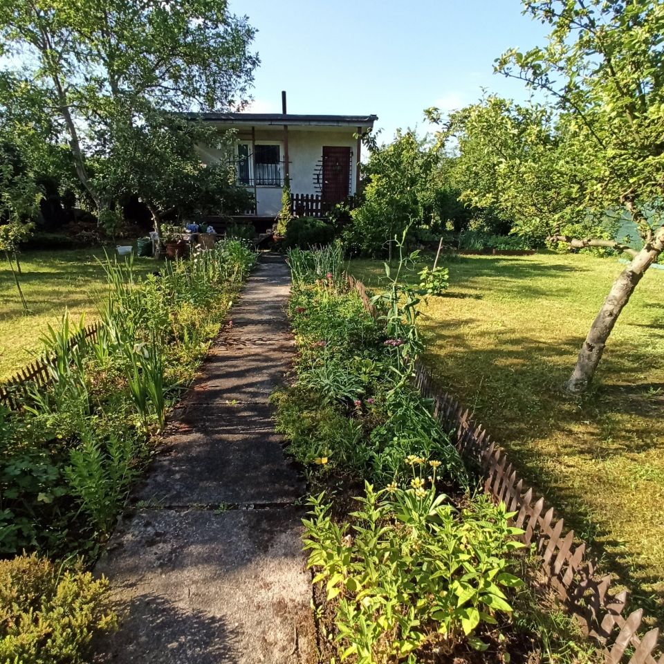 Działka rod Gliwice Sikornik, ul. Rybnicka. Zdjęcie 5