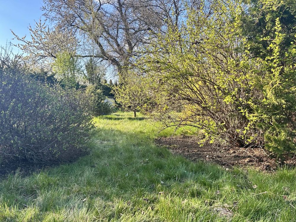 Działka rod Częstochowa Zawodzie. Zdjęcie 6