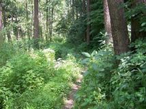 Działka rolno-budowlana Nałęczów. Zdjęcie 2