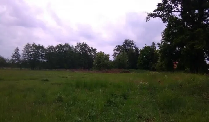 Działka budowlana Żenichów