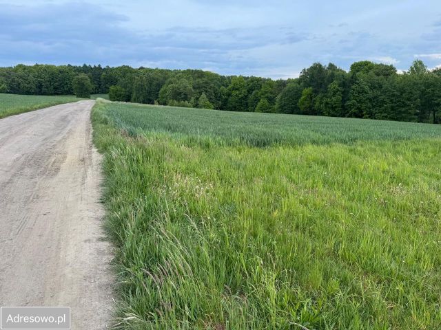 Działka budowlana Mikołów Mokre, ul. Sosnowa. Zdjęcie 1