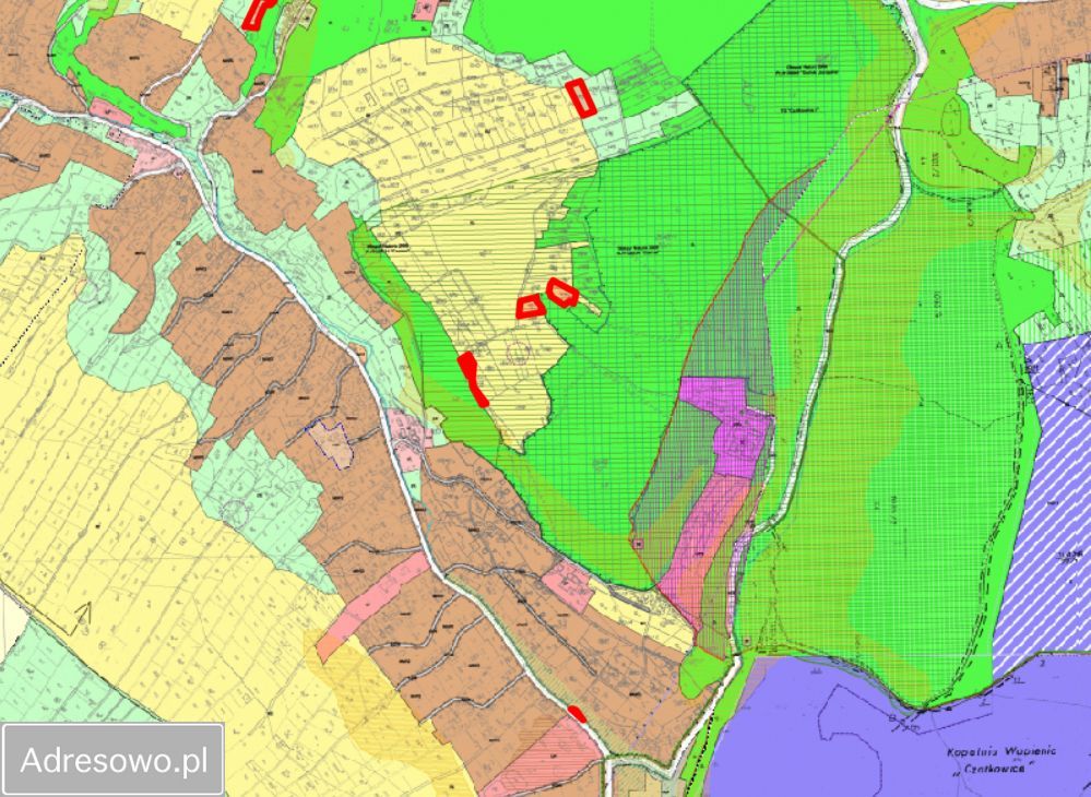 Działka rolna Czerna. Zdjęcie 6