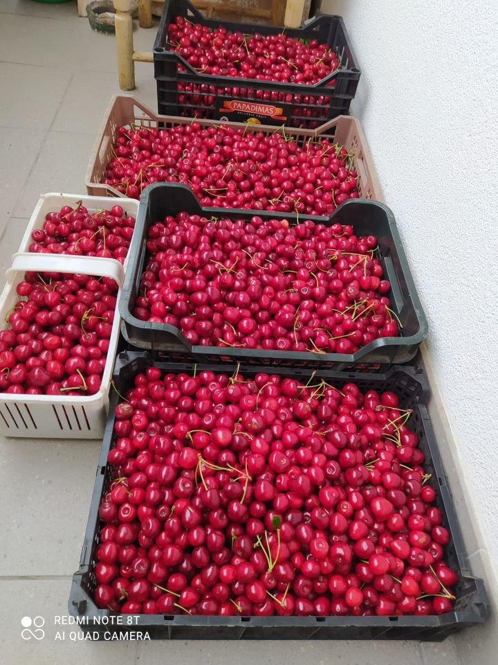 Działka rod Koszalin. Zdjęcie 8