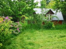 Działka rod Rzeszów, ul. Ciepłownicza. Zdjęcie 1