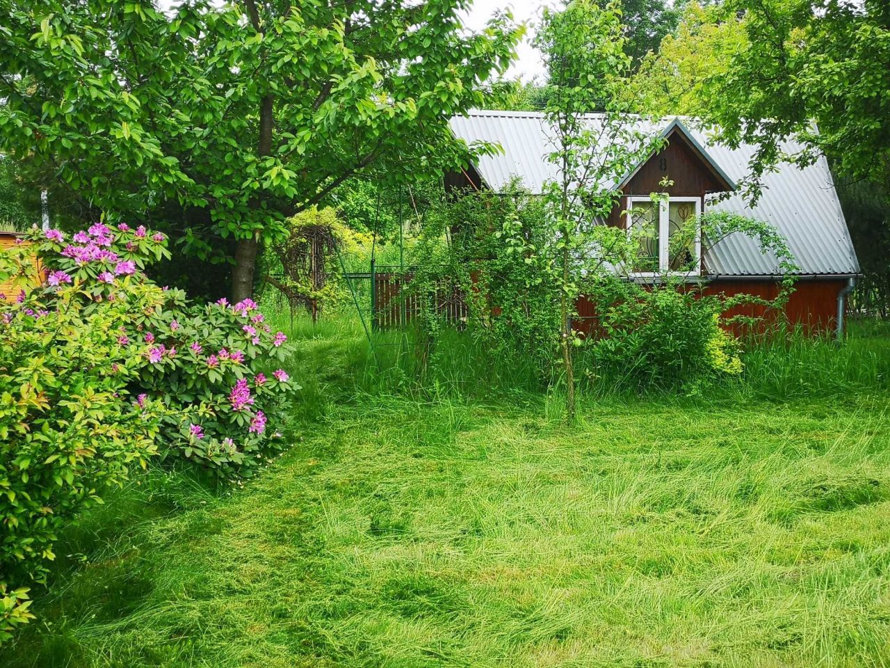 Działka rod Rzeszów, ul. Ciepłownicza. Zdjęcie 2