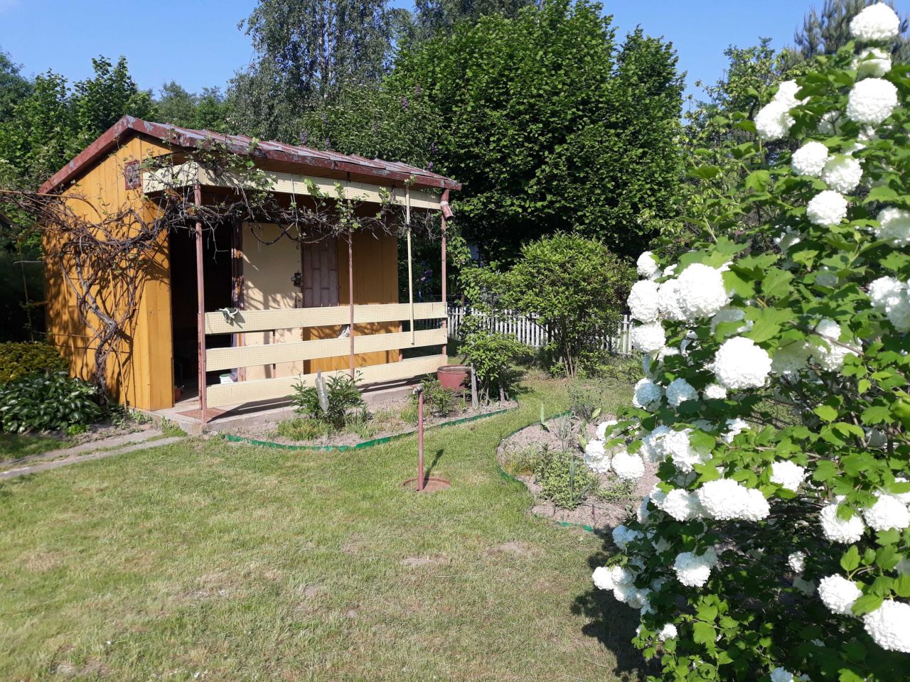 Działka rekreacyjna Radom, ul. Ciborowska