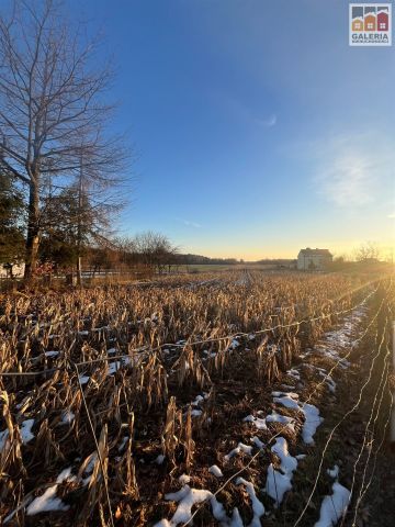 Działka inwestycyjna Lubaczów, ul. Przemysłowa. Zdjęcie 2