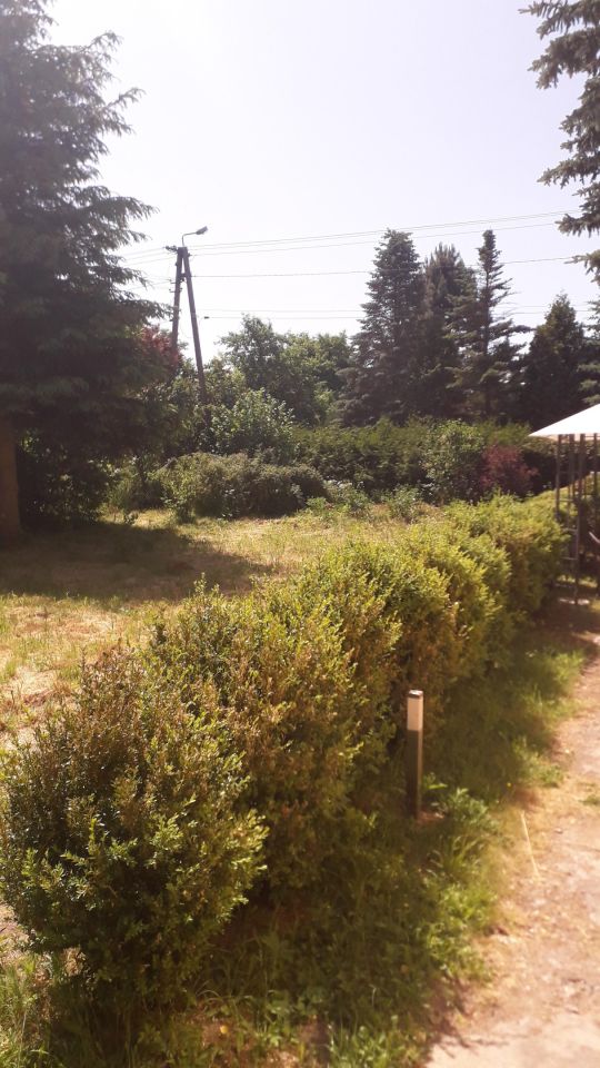 Działka budowlana Gałków Mały, ul. Mickiewicza. Zdjęcie 4