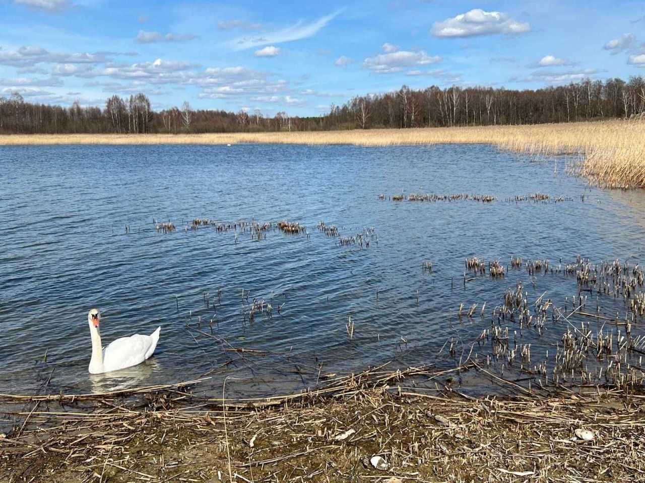 Działka budowlana Pozezdrze. Zdjęcie 7