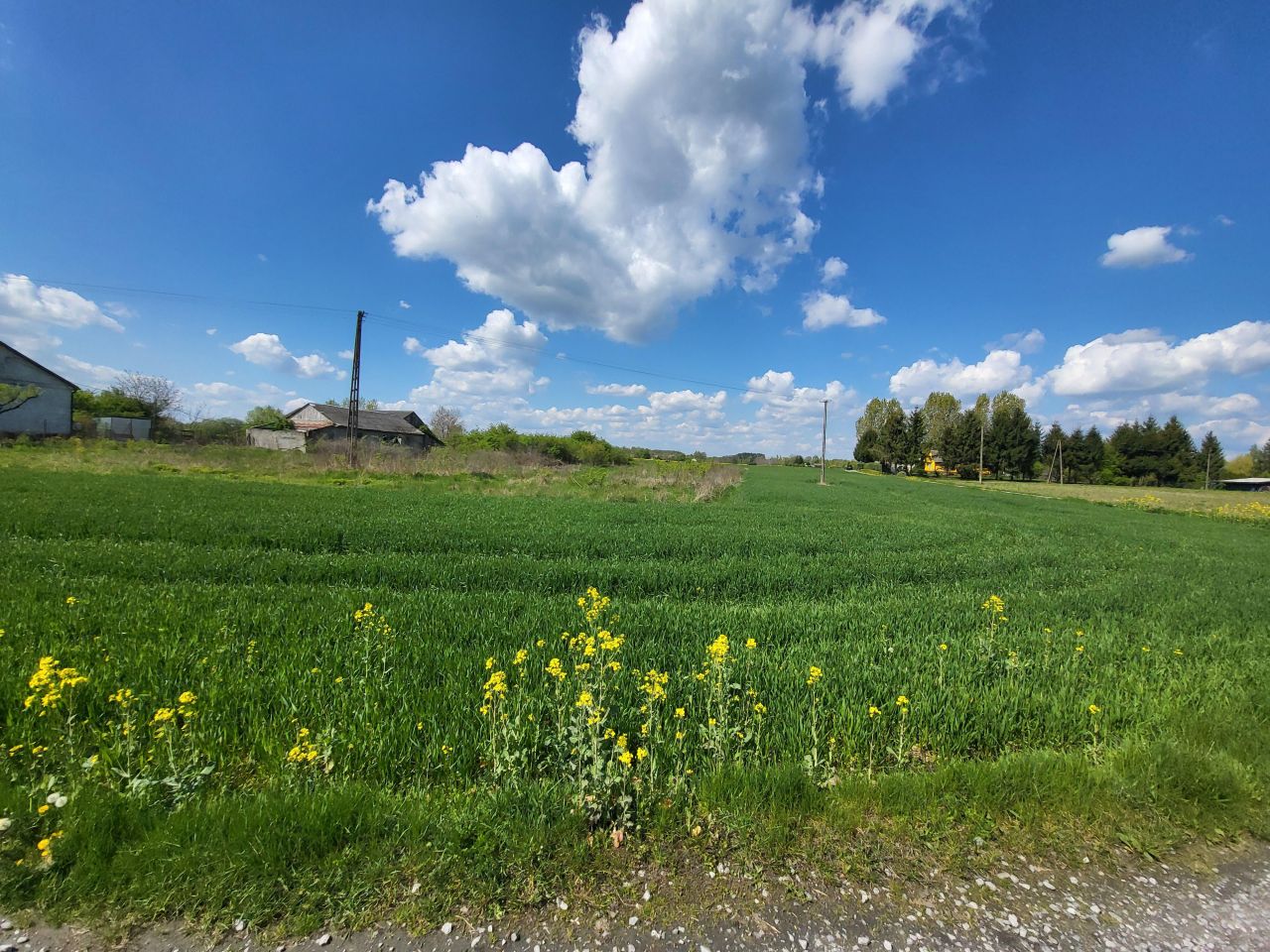 Działka rolna Nowy Stręczyn. Zdjęcie 6