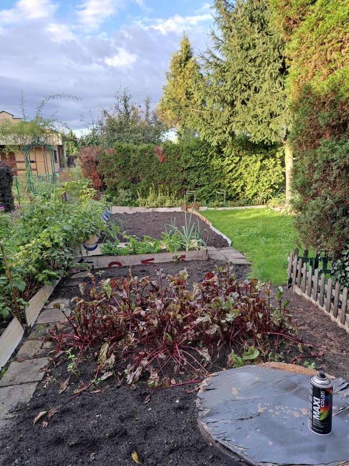 Działka rod Toruń Wrzosy, ul. Słowicza. Zdjęcie 12