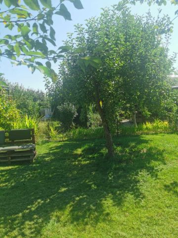 Działka rod Żnin. Zdjęcie 1