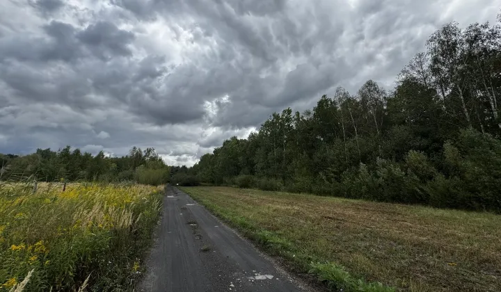 Działka budowlana Nowy Prażmów, ul. Akacjowa