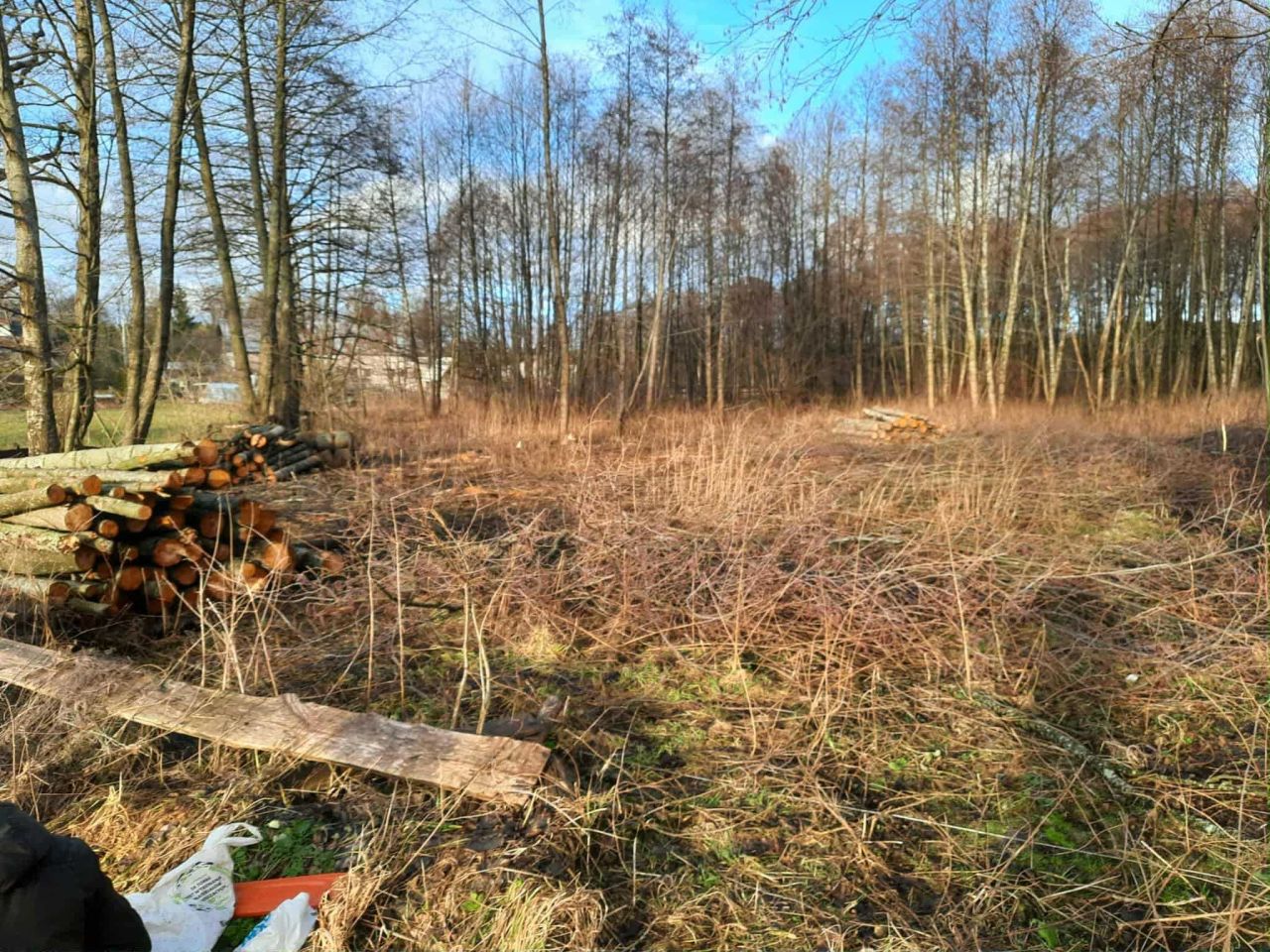 Działka rolna Sędańsk. Zdjęcie 4