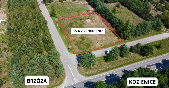 Działka budowlana Chinów Stary Chinów. Zdjęcie 1