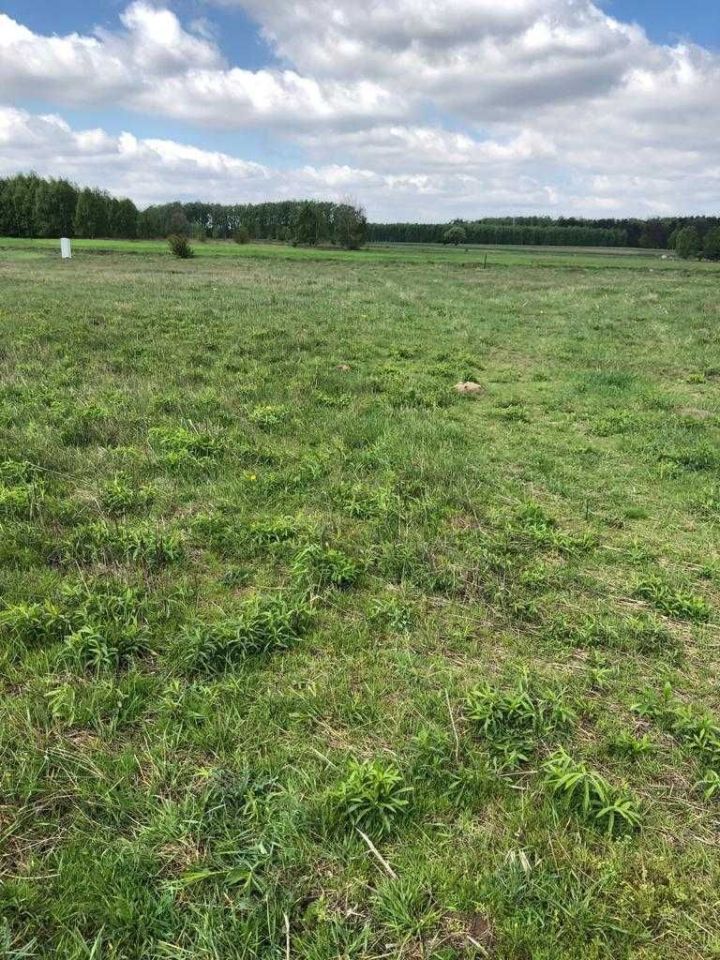 Działka budowlana Łódź Widzew, ul. Macieja Rataja. Zdjęcie 2