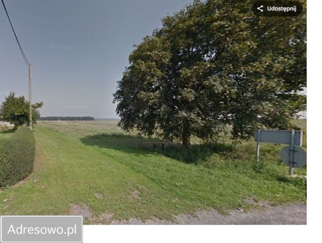 Działka budowlana Gaj Oławski, ul. Klonowa. Zdjęcie 1