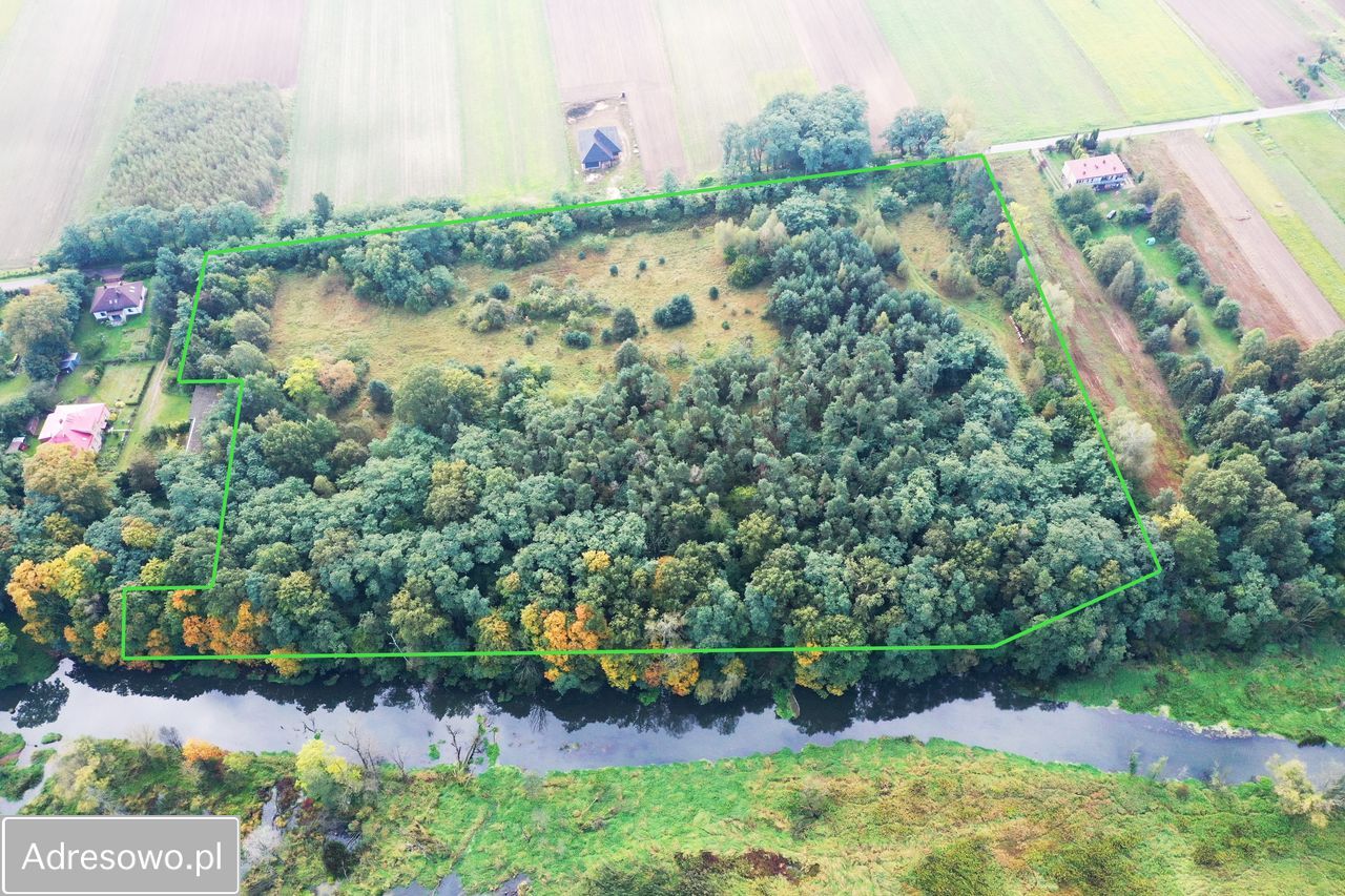 Działka Troniny. Zdjęcie 2