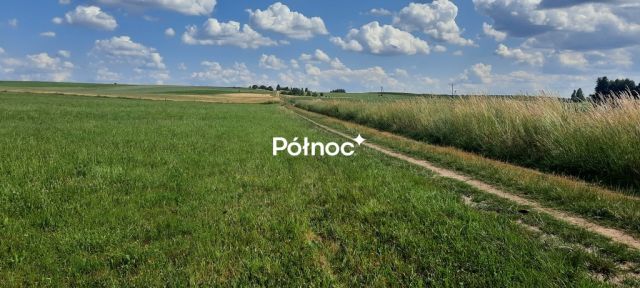 Działka rolna Dobrzyniewo Kościelne. Zdjęcie 3