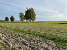 Działka budowlana Jezierzyce Kościelne. Zdjęcie 2