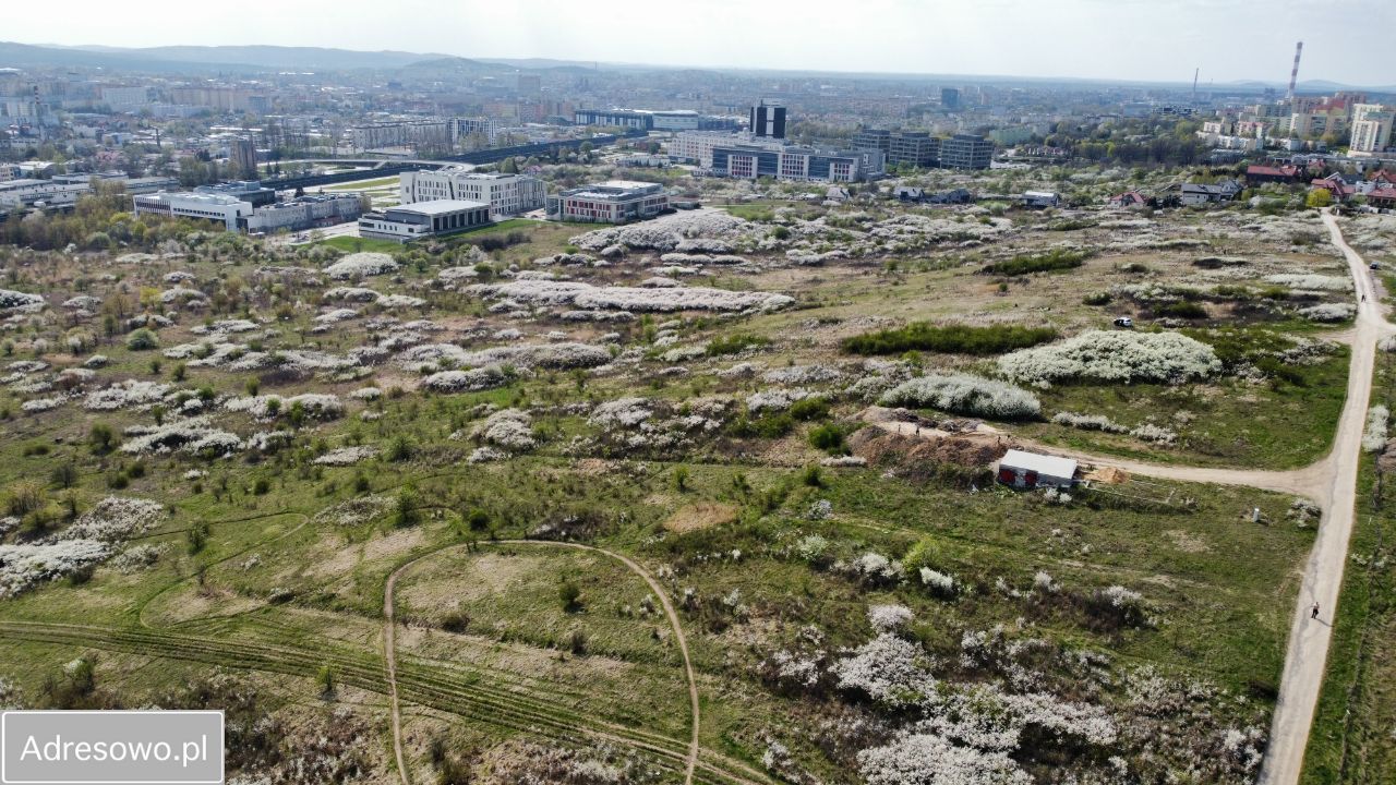 Działka budowlana Kielce Nowy Folwark, ul. Ciekocka. Zdjęcie 4