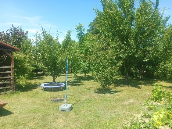 dom wolnostojący, 6 pokoi Wielgolas Brzeziński, ul. Skrajna. Zdjęcie 4