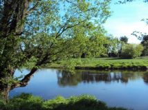 Działka rekreacyjna Idzikowice Idzikowice-Kolonia