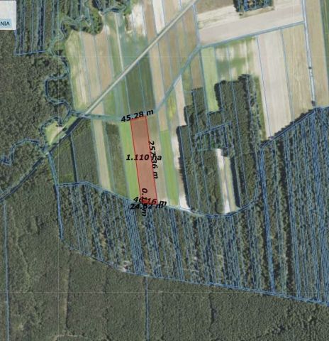 Działka rolna Wólka Łamana. Zdjęcie 1