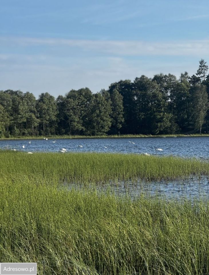 dom letniskowy, 4 pokoje Śluza. Zdjęcie 10