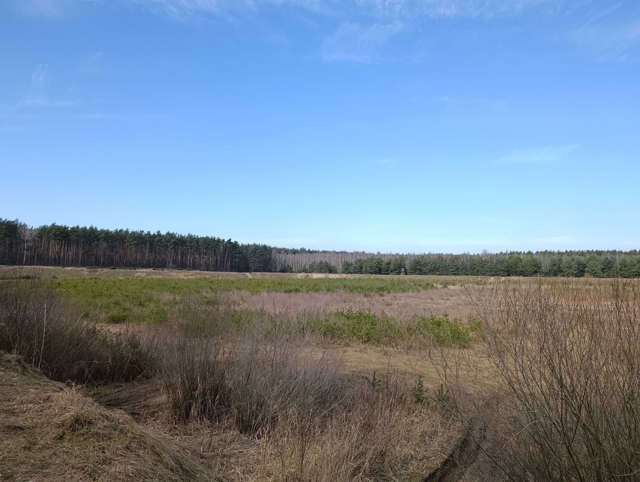 Działka inwestycyjna Mórkowo. Zdjęcie 4