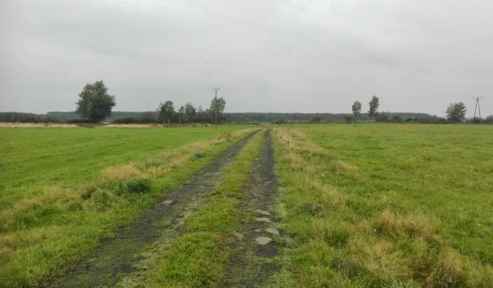 Działka rolna Krupy